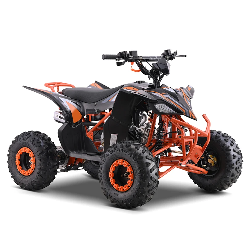 

New 110cc 125cc 4 Stroke Off Road ATV Quad Bike for Kids