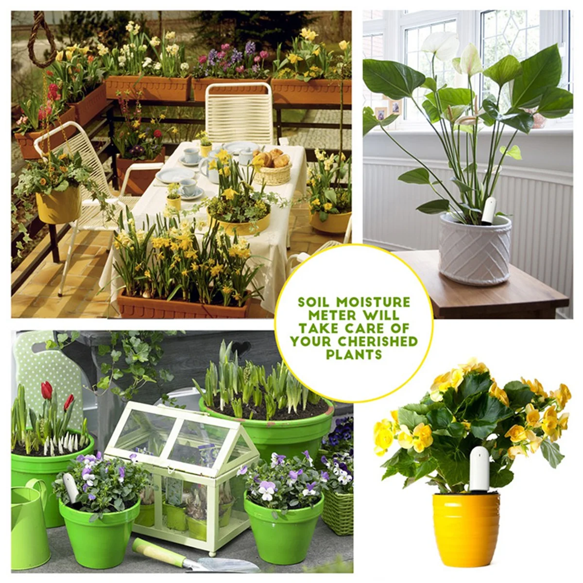 

M85K Flower Plant Monitor Soil Water Fertility Smart Tester Intelligent Bluetooth Monitor for APP White