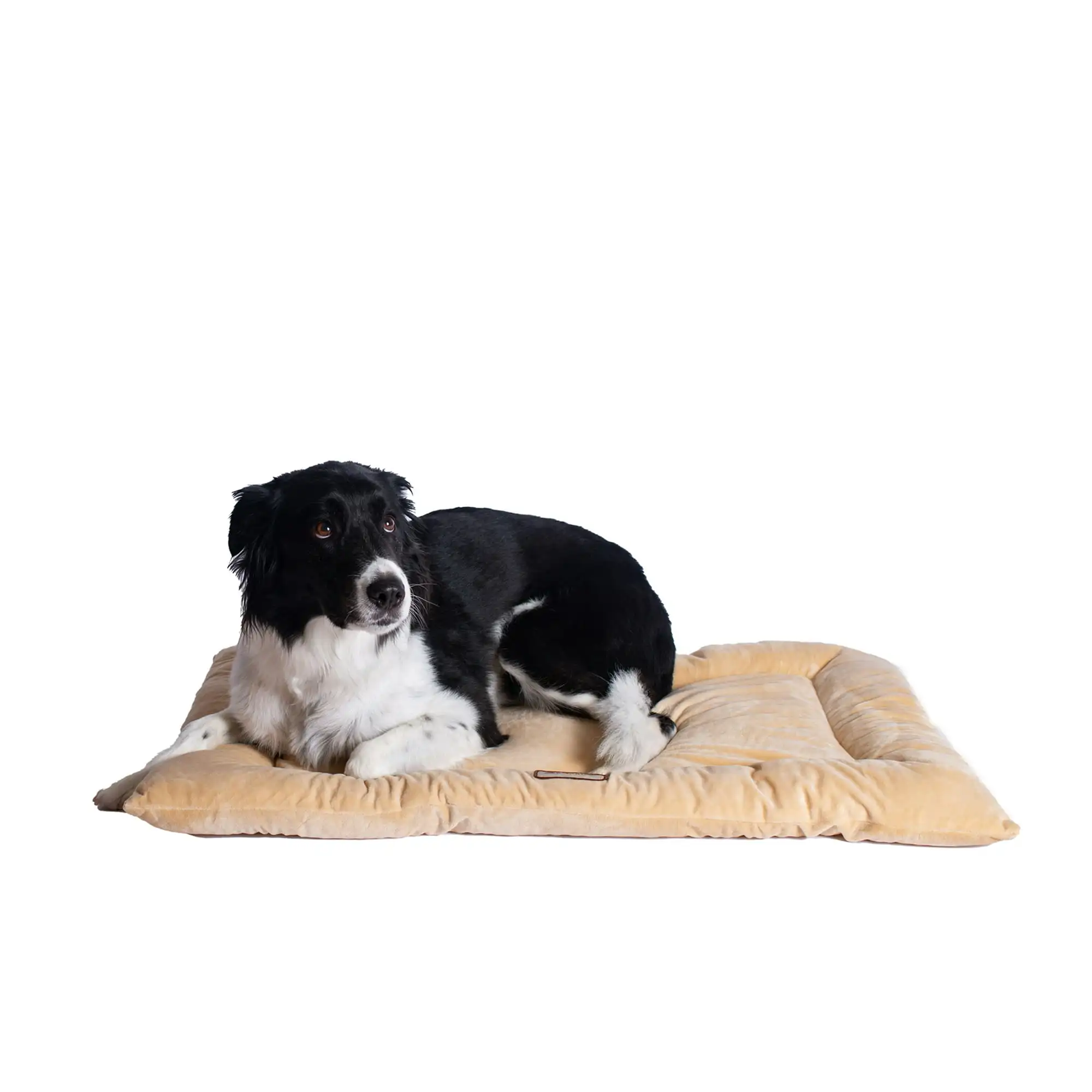 

Pet Bed Mat, 35" x 22" x 3", Large