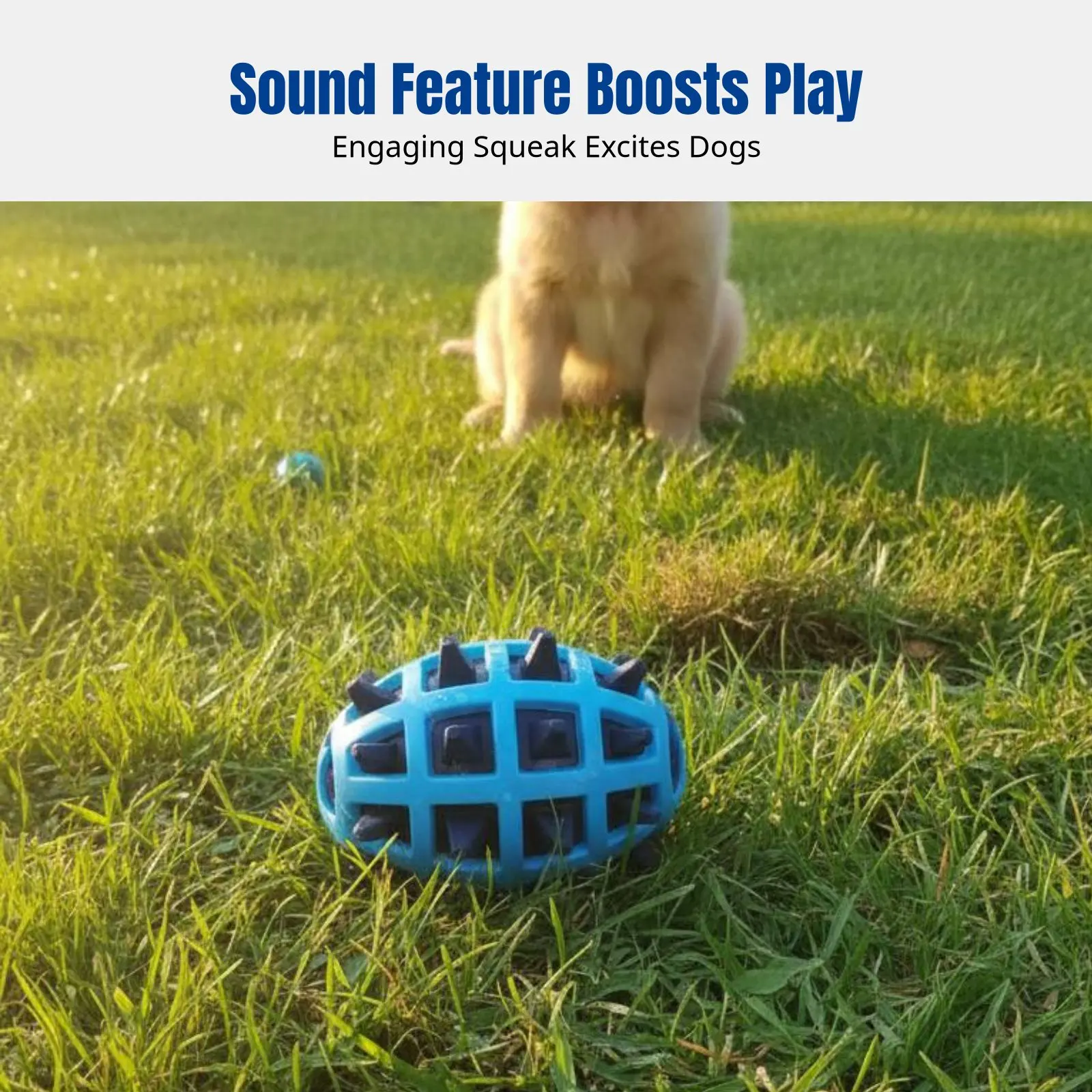 Pet Toy, Two-Color Sports Oval, Squeaky Dog Toy, Interactive, Home Fun