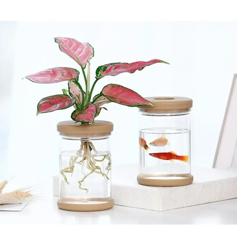 Modern Hydroponic Flower Pot Automatic Watering Resin Planter Clear Desktop Indoor Green Plant Succulent Water Container