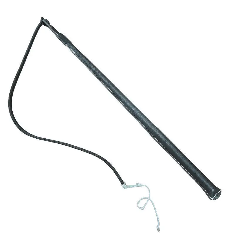 سوط الحصان، سوط تدريب الكلاب