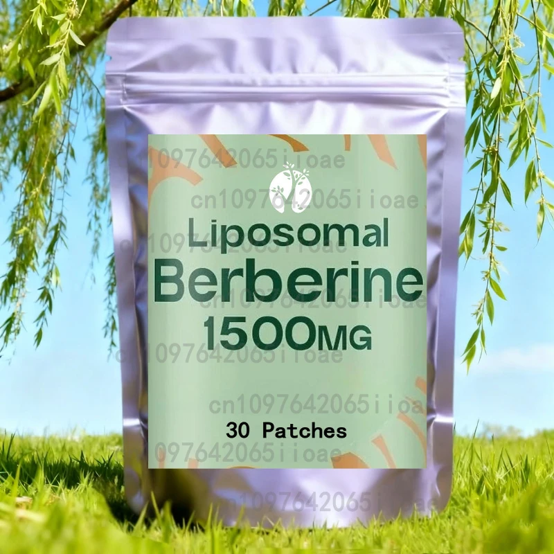 ليبوسومال بربريين HCl بربريين 1500 مجم ينشط AMPK وGLP-1، توفر حيوي عالي + الصحة الشاملة 30 رقعة