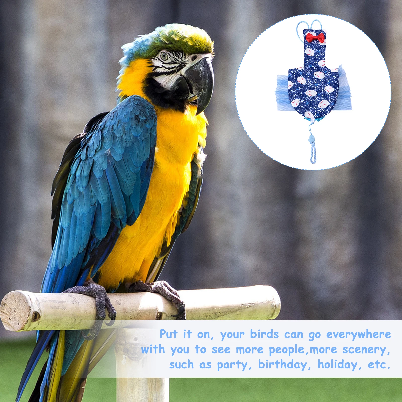 

Pet Diapers Flying Suit Waterproof Reusable Parrot Flight Clothes Lightweight Chic Bowknot Design for Parakeet Cockatiel Pigeon
