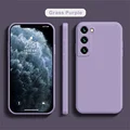Grass purple