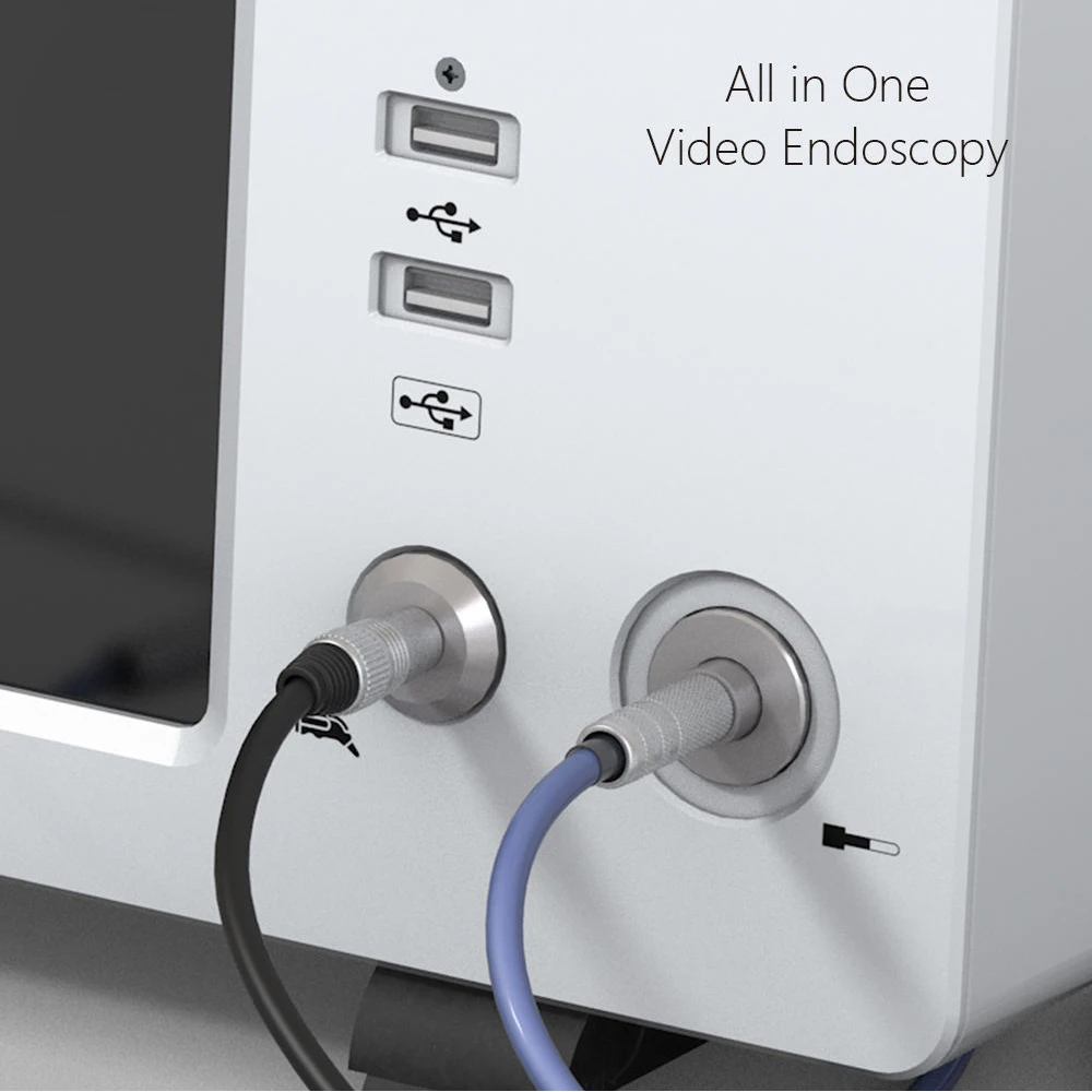 19 inch portable all-in-one endoscopy camera unit for veterinary urology