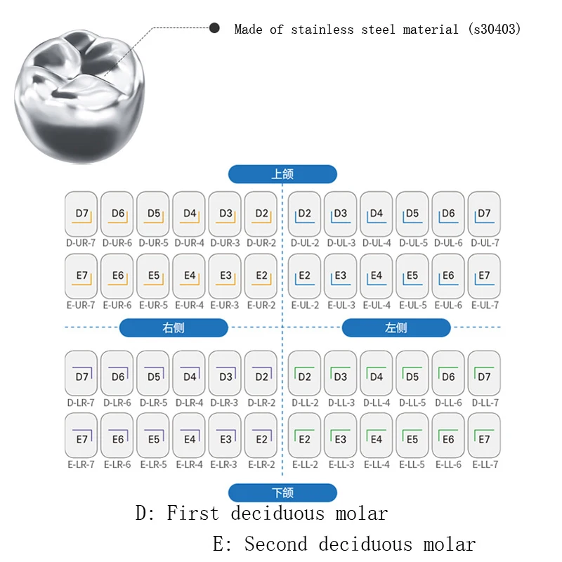 10Pcs/Box Dental Kids Primary Molar Crown Refill Stainless Steel Pediatric Crowns Upper/Lower Right Left D2D7/E2E7 1st 2nd Molar