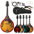 IRIN 8-String Electric Mandolin Blue Sunset Color
