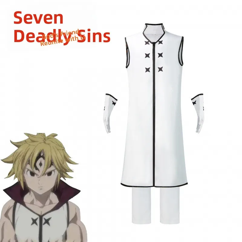 

Seven Sins Cosplay Costume Meliodas Halloween Comic Con Festival Seven Deadly Sins Original Sin Outfit Women's Traditional Co...