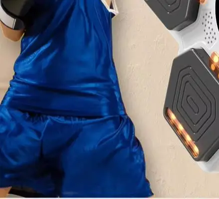 Other Boxing Training Products Portable Fighting Wall Mounted Boxing Target Smart Music Boxing Machine