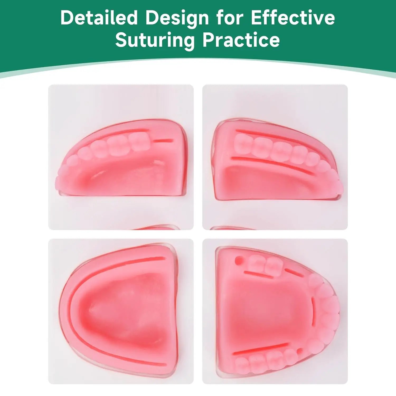 Ultrassist Dental Suture Training Kit for Dental School Student with Pre-Cut Wounds Practice Gum Cutting & Gingival Suturing Pad