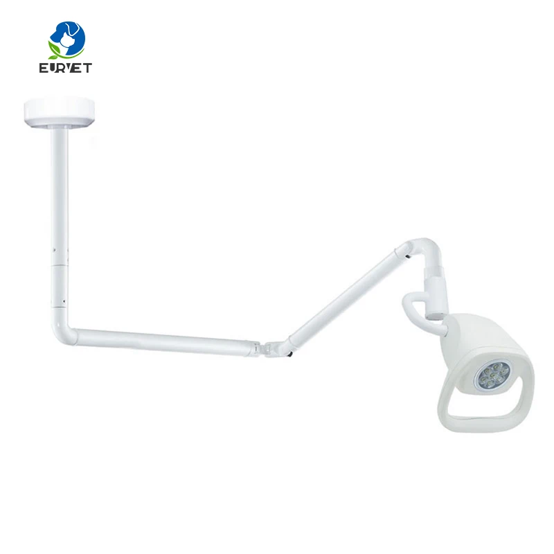 EUR VET Best Selling Animal Surgical Examining Light Veterinary Equipment Practical Ceiling Mounted Veterinary Light