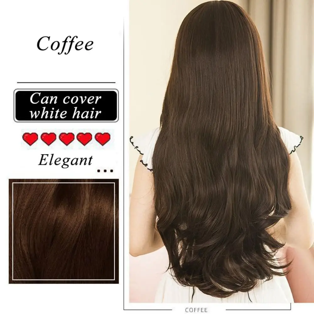 250ML Effective Easy To Wash Bubble Hair Dye No Stimulating Unisex Hair Color Shampoo Long-lasting Hair Coloring Shampoo Men
