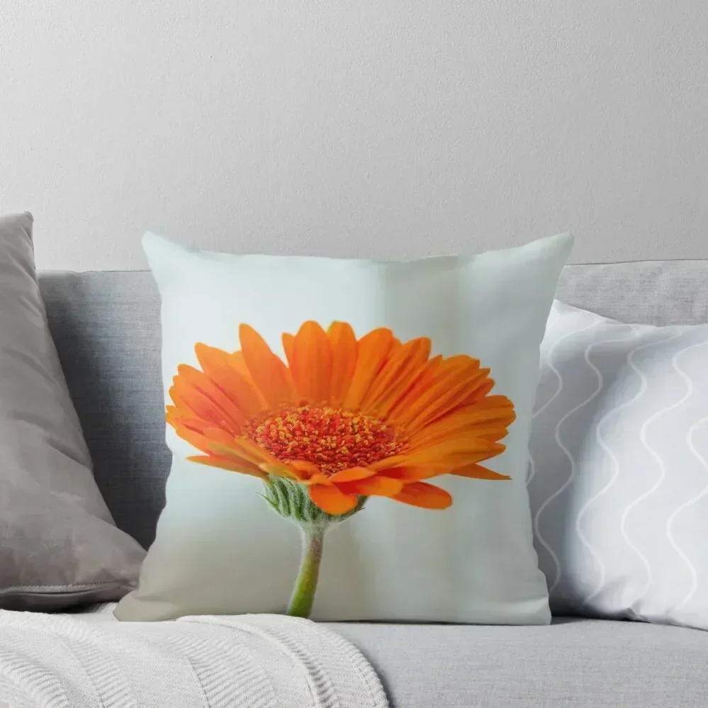 

Orange gerbera flower on white background Throw Pillow Christmas Covers For Cushions Cusions Cover pillow
