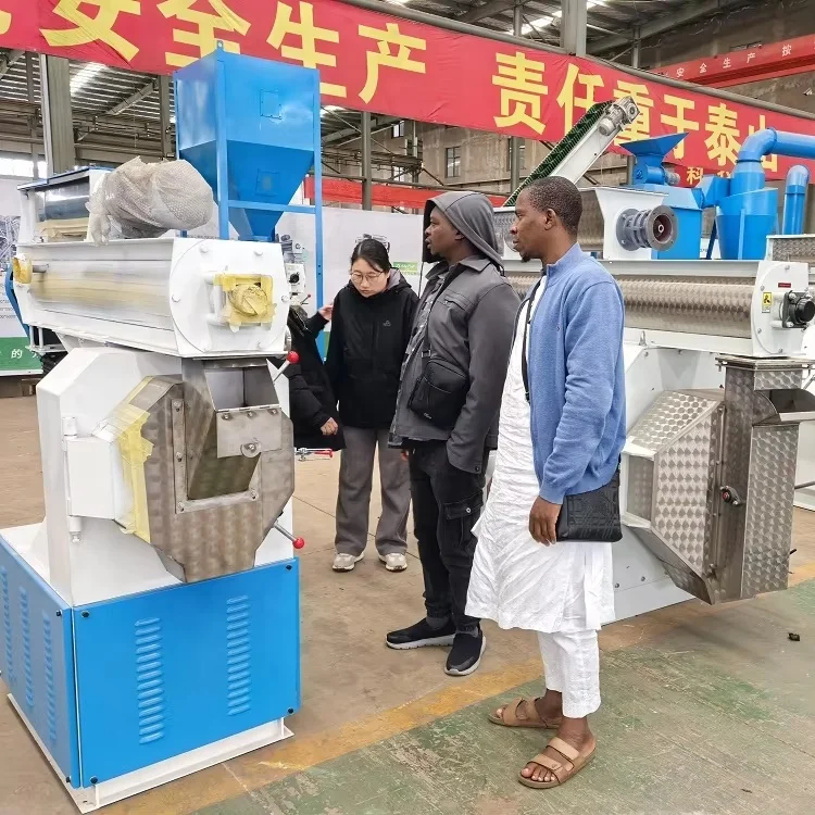 High Efficiency Chicken and Duck Animal Feed   Ring Die Feed Pellet Machine