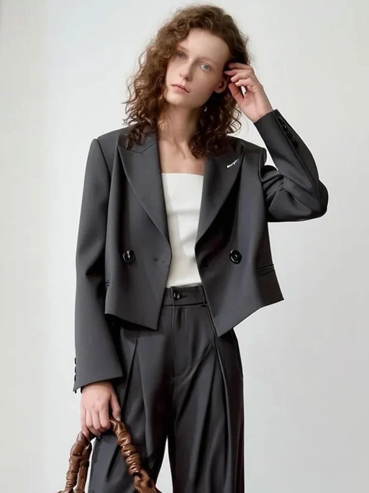 

Пиджак Zhuo Chi Premium 2026: Весенний, для офиса, с воротником-стойкой, на пуговицах, с множеством карманов, прямой крой