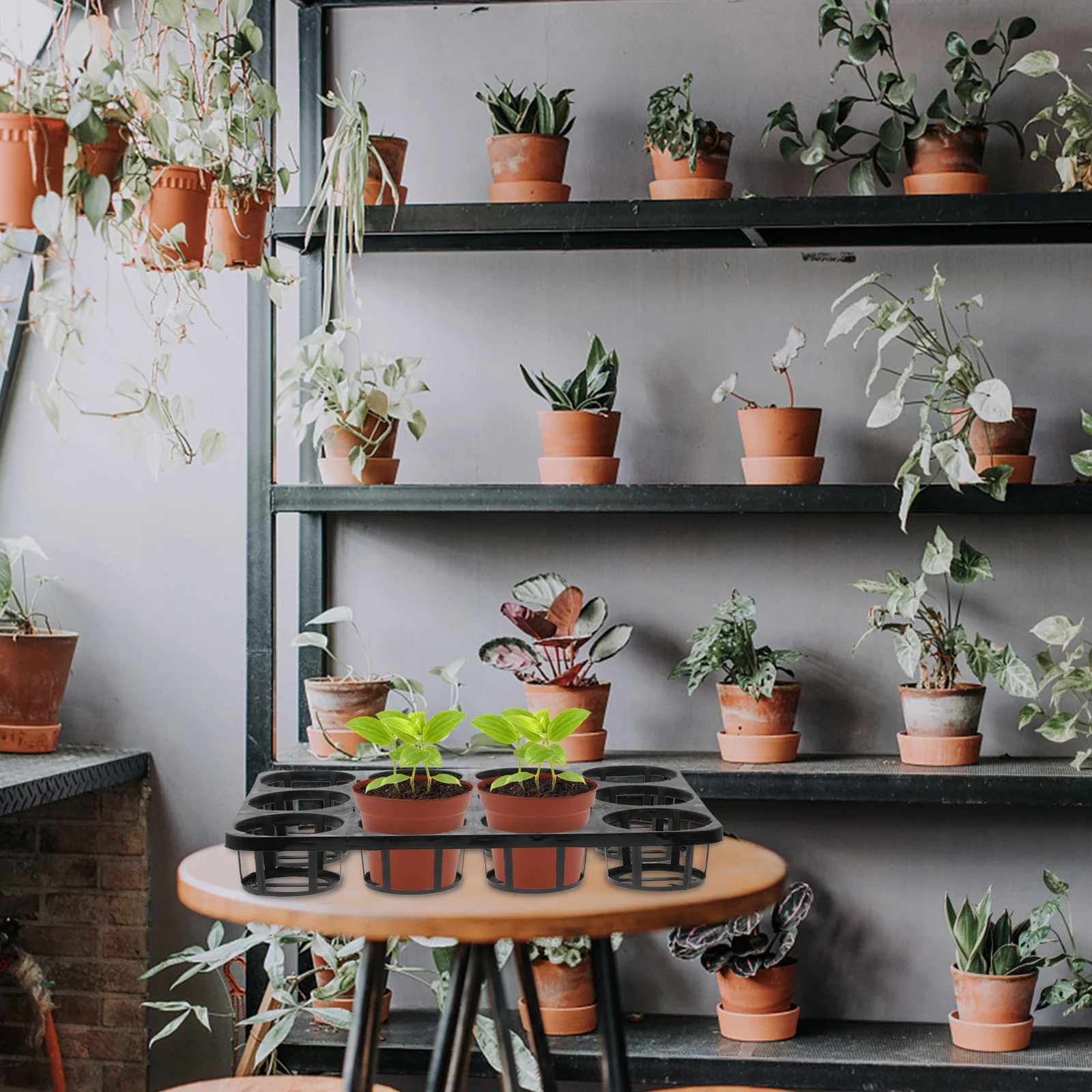 

2pcs 12 Hole Seedling Pp Material Durable Lightweight Growing For Home Garden Bottom Reinforced Sprouter Tray Holder Tray