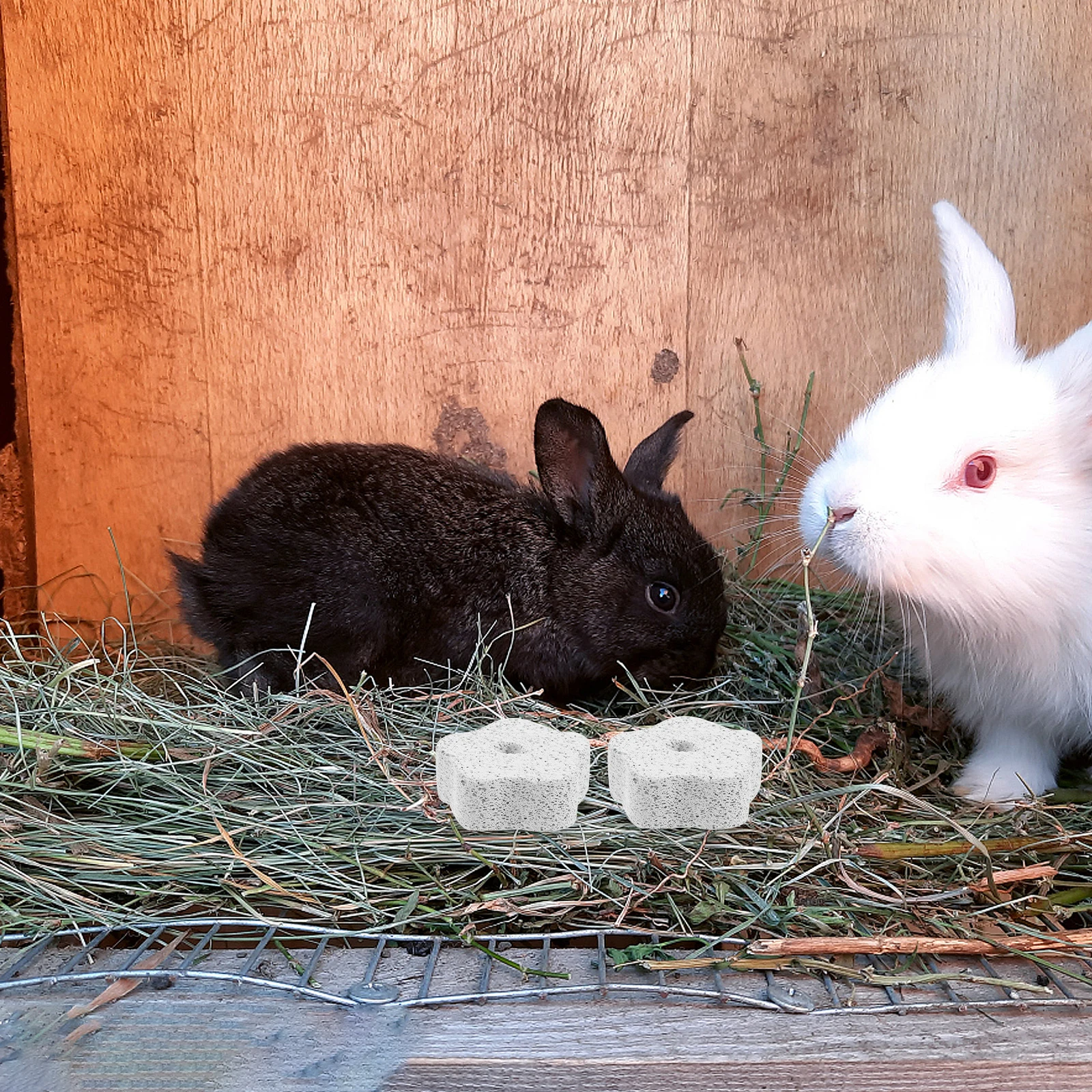 

10Pcs Hamster Molar Stones Natural Chewing Aid Small Pets Teeth Grinding Stones Dental Health Hamsters Teeth Grinding Stone