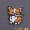 PE6619CT