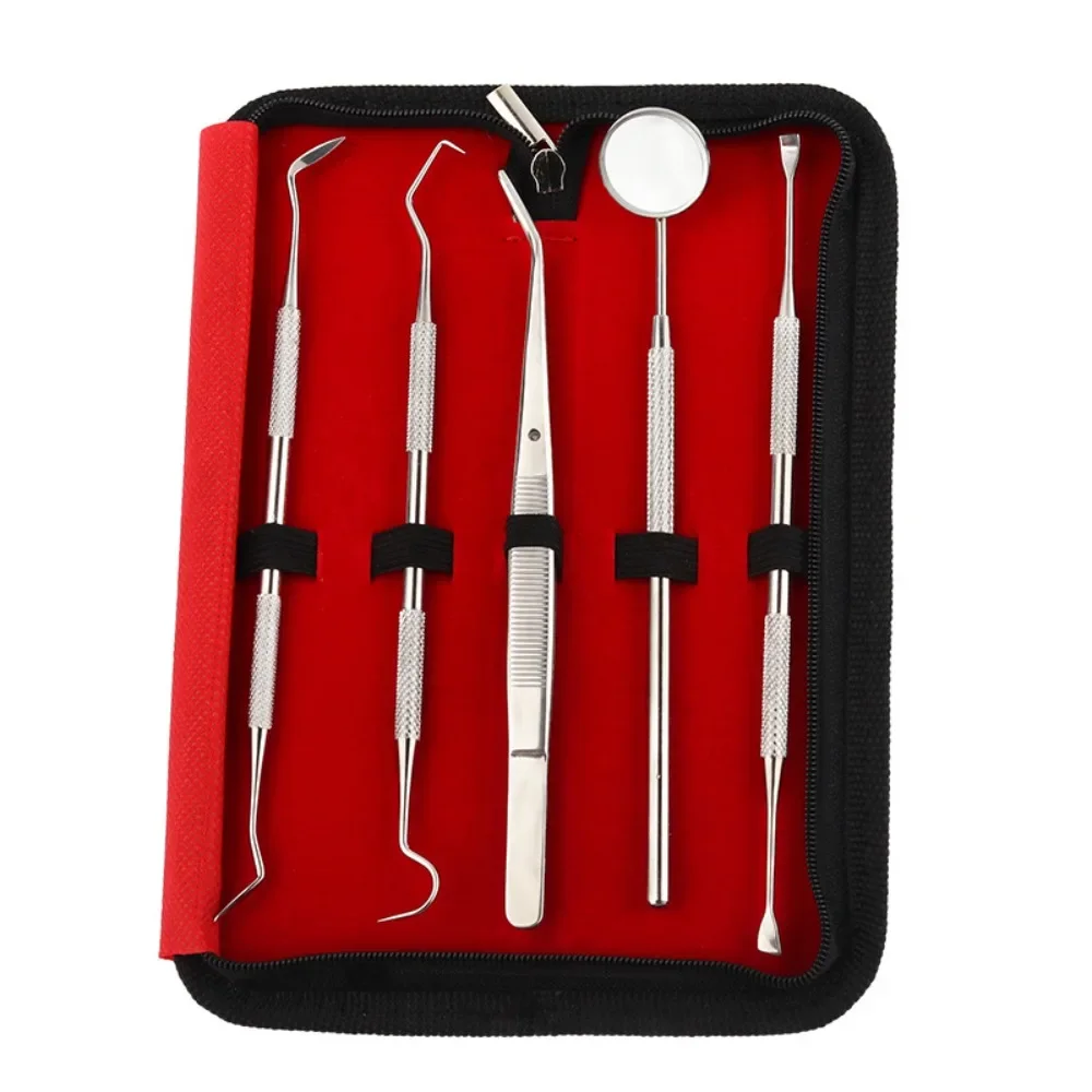 5Pcs Stainless Steel Dental Tool Portable Dental Explorer Probe Stripper Odontoscope Profession Teeth Clean Hygiene Care Set