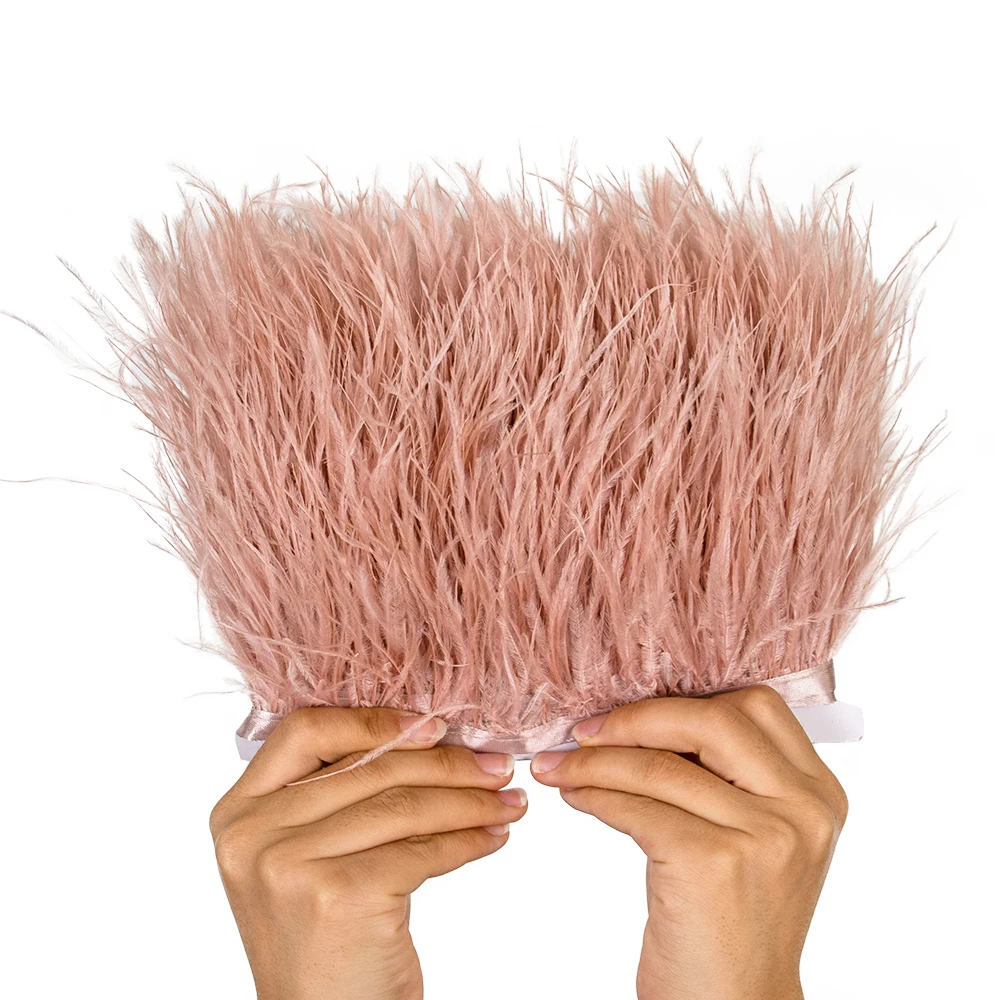 Rumbai Bulu Burung Unta yang L - Fringe Ribbon Sewing ulasan dan harga
