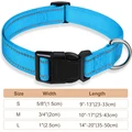 sky blue collar