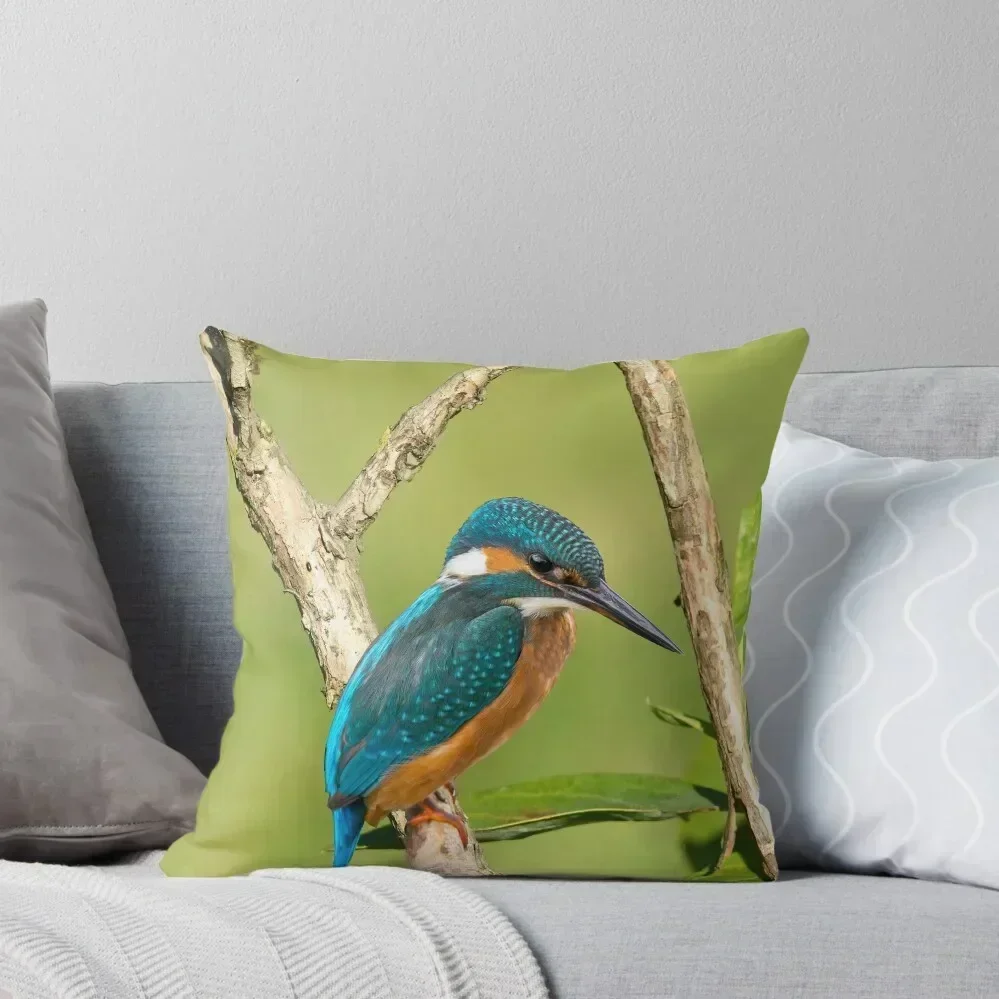 

Common kingfisher Throw Pillow Decorative Cushions For Living Room Sofas Covers Cushions For Decorative Sofa New year pillow