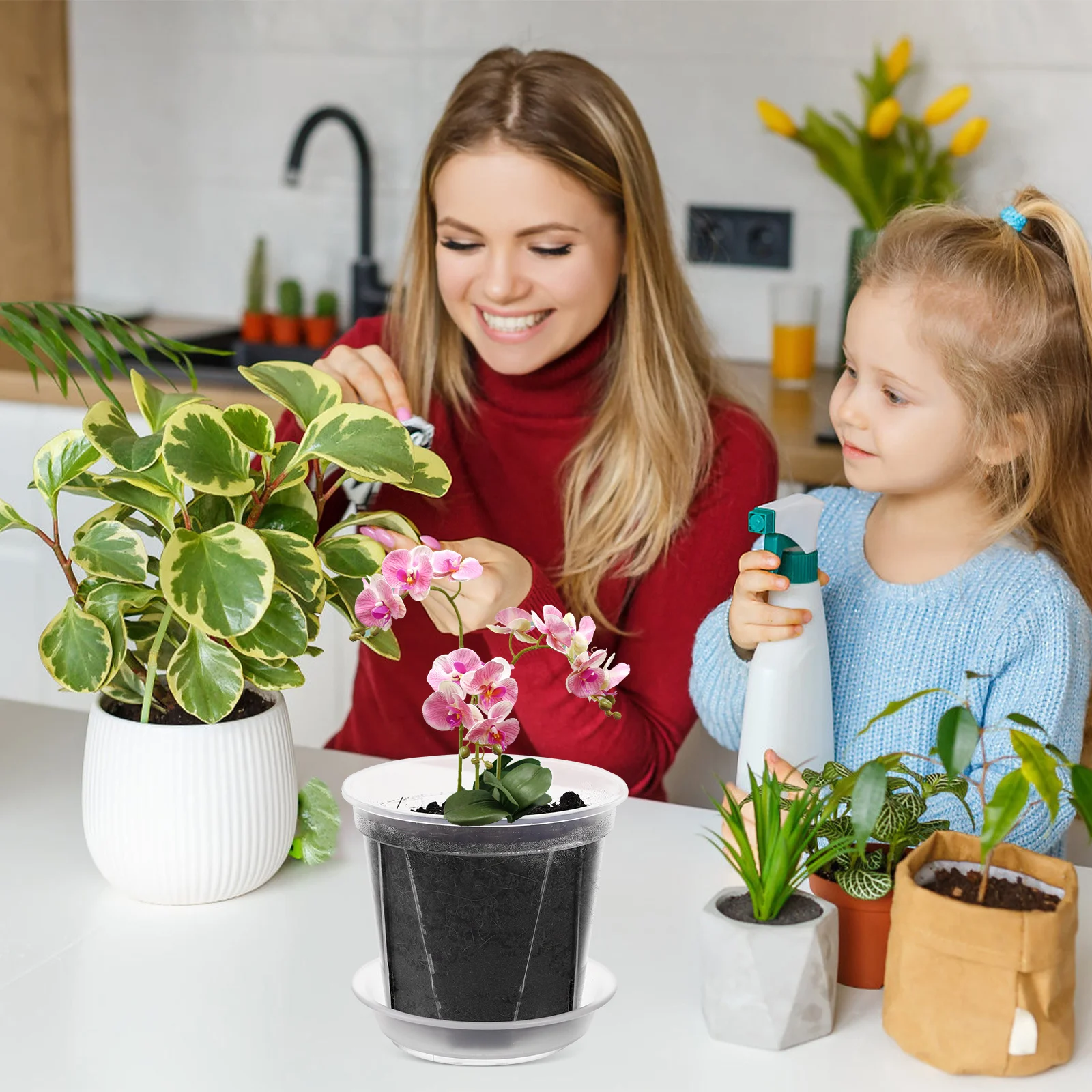 5Pcs Clear Plant Pots with Ventilation Holes Transparent Flower Pots for Plants Drainage Design Ideal for Succulents and Indoor