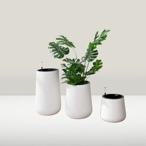Modern Luxury High Quality Tall Plastic Bonsai Planter Unique Indoor Use Flower Pots Big Size Home Garden