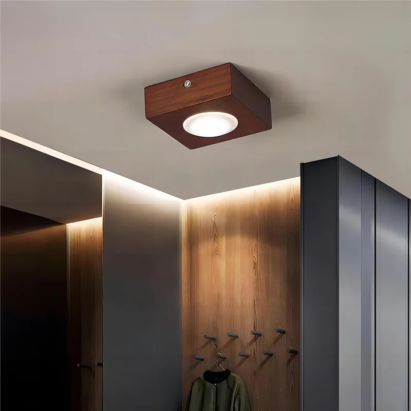 Walnut Wood Brass Downlight Ceiling Light Fixture, Spotlight for Living, Dining Room, Kitchen Island, Corridor aisle, bedroom