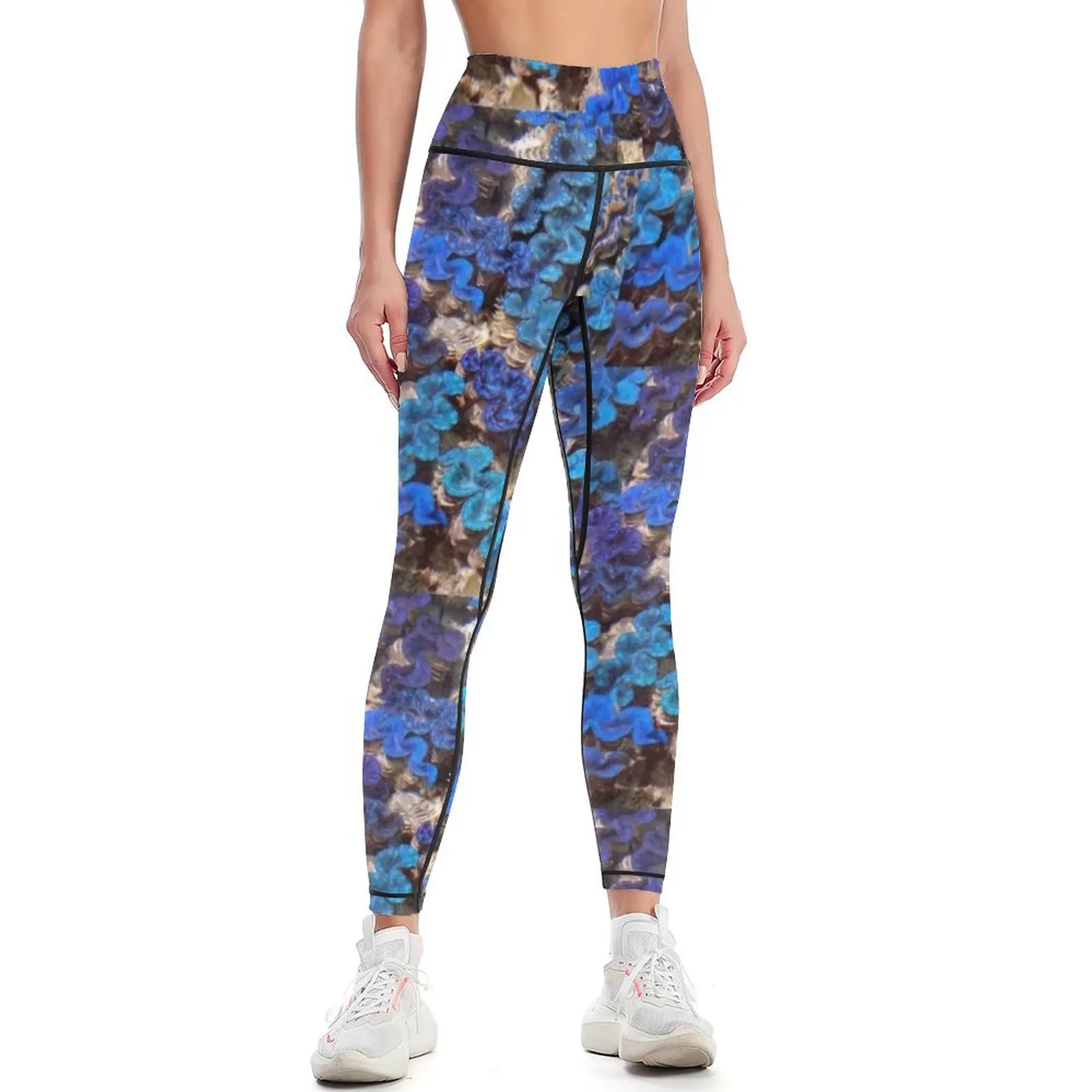 Blue-lipped Clams, Cocos (Keeling) Islands, Australian Indian Ocean Territories Leggings sportswear for gym Womens Leggings