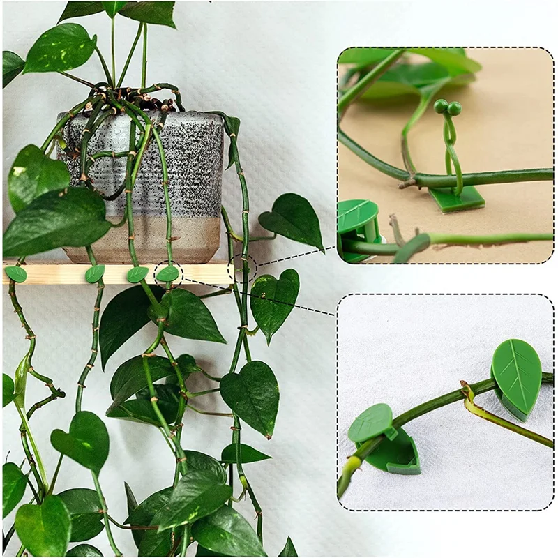 AA86 80 ชิ้นพืชปีนเขา Wall FIXTURE คลิปผู้ให้บริการพืช Vines สวนสีเขียวใบพืชผนังคลิป Vines สําหรับตกแต่ง