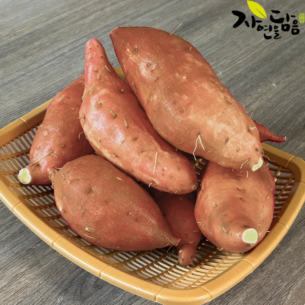 Nature's Bounty Hwangto Haenam عسل البطاطا الحلوة (Beniharuca) بحجم 2 كجم/ مباشرة من Haenam