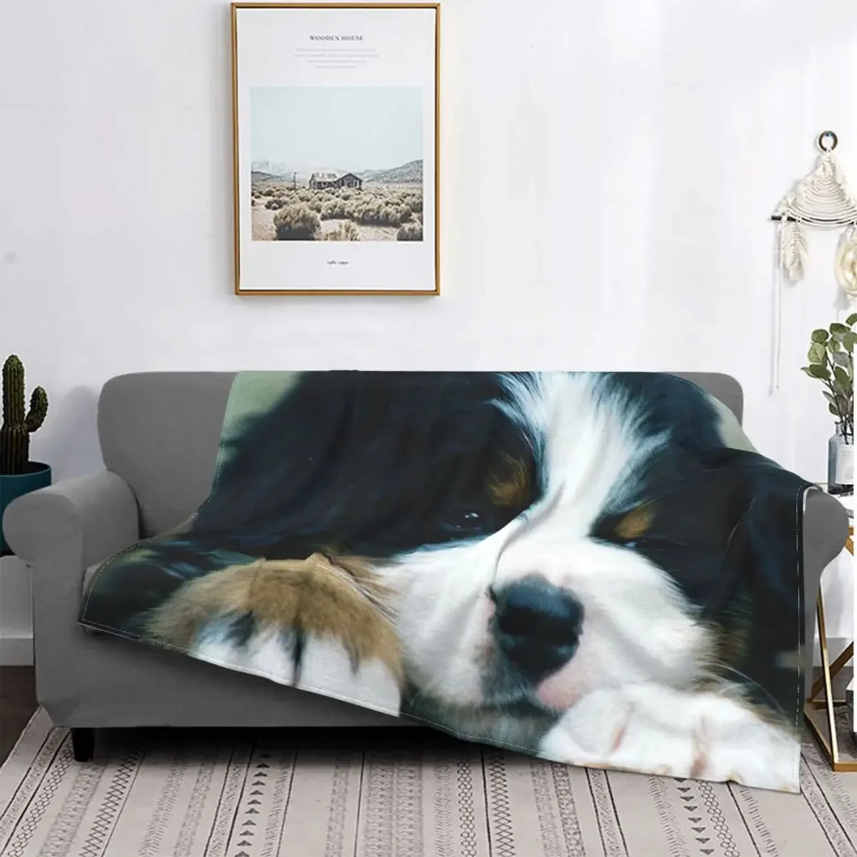 

Bernese Mountain Dog Baby Blankets Flannel Winter Kids Anime Cute Gift Portable Soft Babe Carpetss For Bedding Couch Bedding
