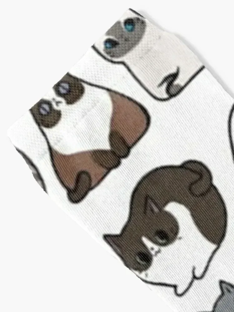 القطط القطط القطط الجوارب الهيب هوب هدية مضحكة الهدايا هدية الرجال الجوارب النسائية