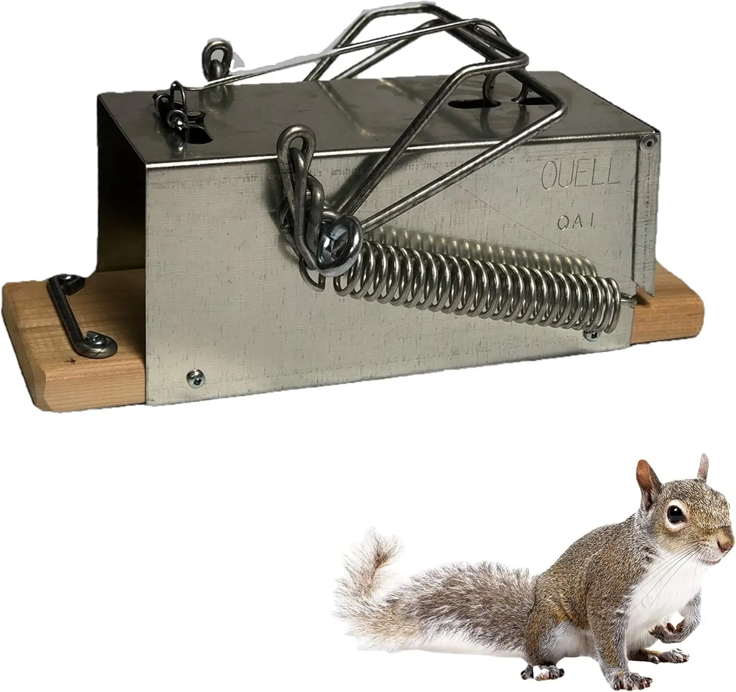 

Powerful Squirrel Trap for Indoor and Outdoor Use - Medium Rodent Control - Effective for Black and Grey Squirrels