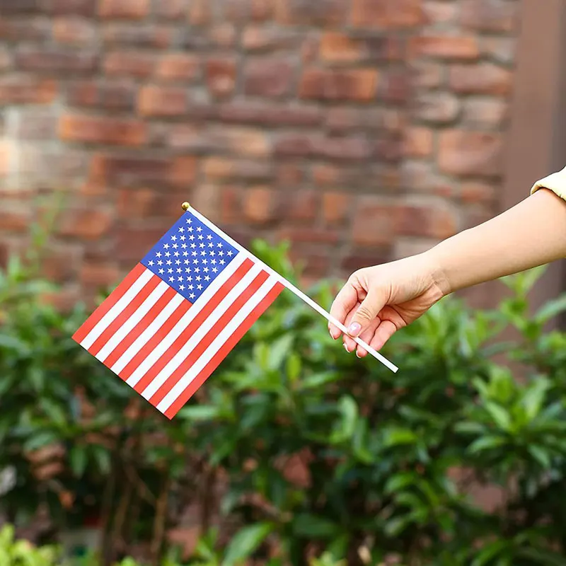 Mini Hand Waving Flag 14x21cm Polyester Small Flag With Plastic Flagpole For Various Holiday Parties National Day