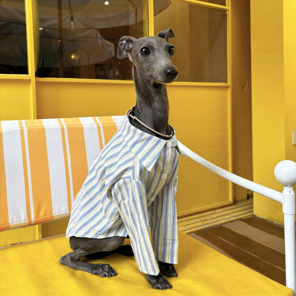 Gestreiftes Hemd mit italienischem Windhund, Frühling und Sommer, dünn, modisch, vielseitiges Hundehemd, weiche, bequeme Haustierkleidung