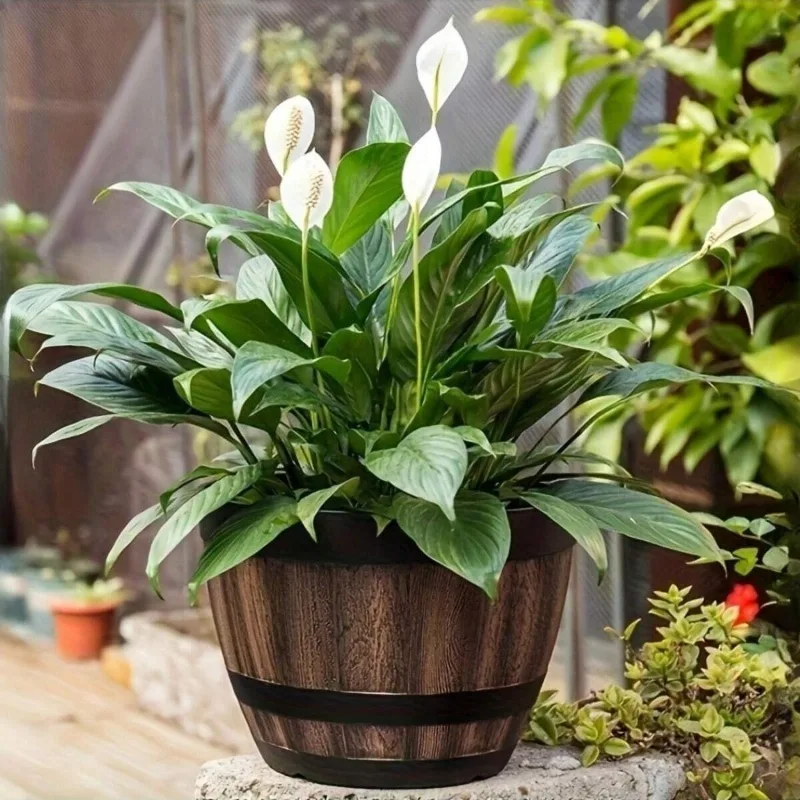 Thumbnail 3 - #12 Compare Outdoor Planter Boxes Before You Buy