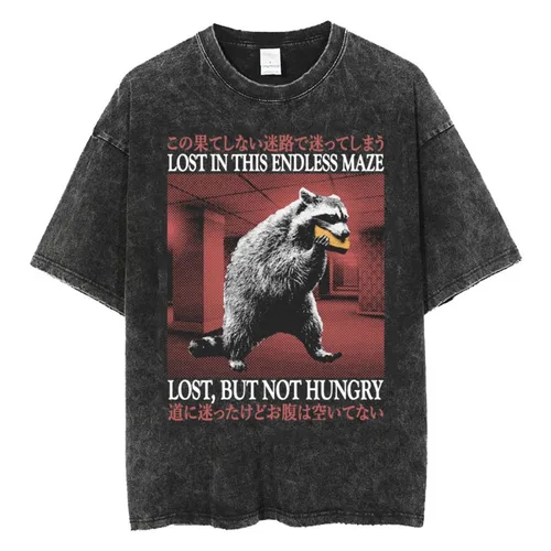 Imagen 2 del producto Camiseta The Horrors Never Ending Yet I Remain Silly, divertida camiseta lavada Retro de rana de estilo japonés, camisetas de gran tamaño para hombres