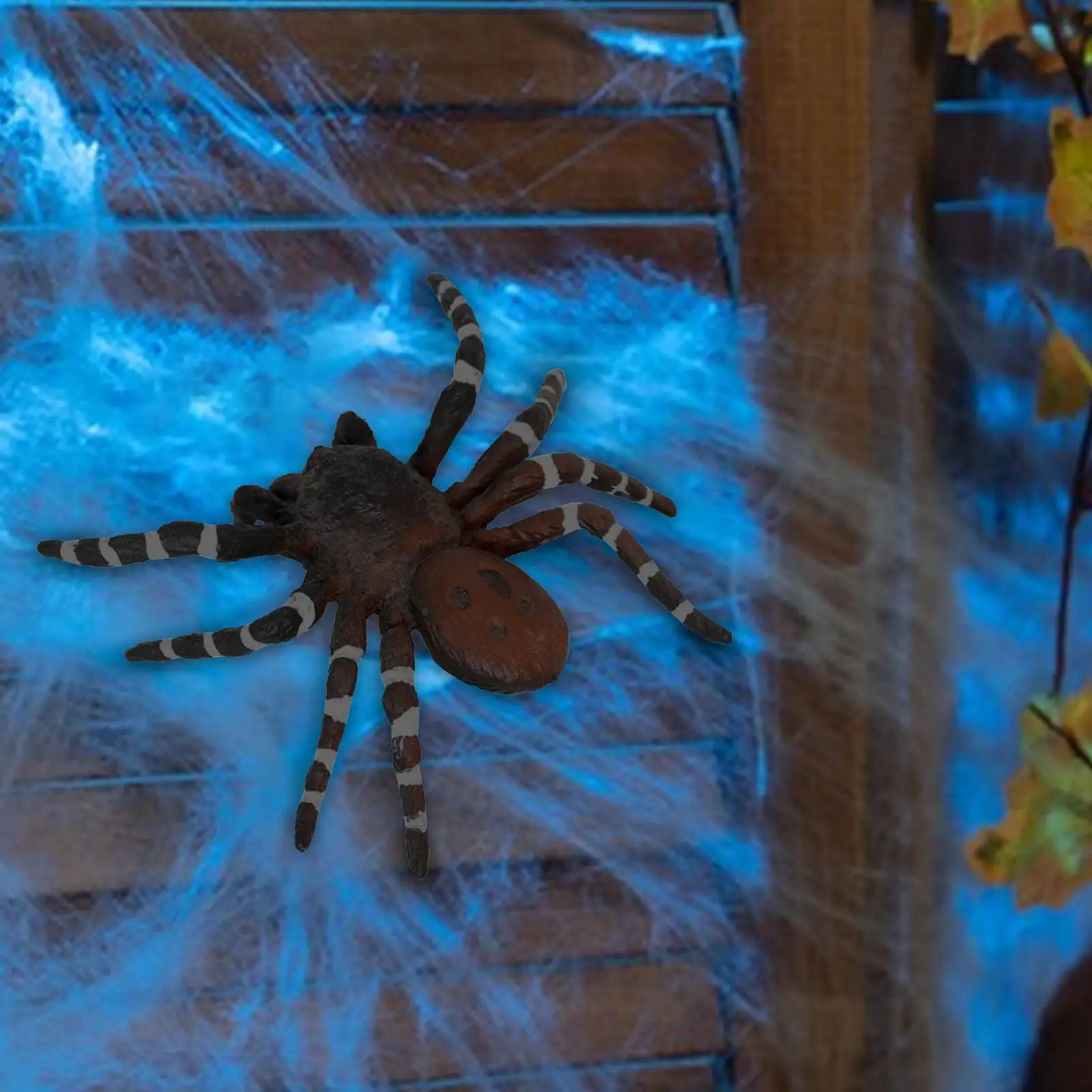 Halloween realistic Spider decoration Simulated Spider ornament animal model science education ornament Halloween gift for kids
