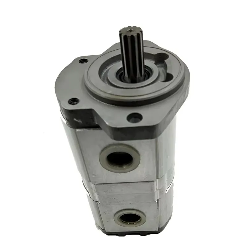 المجموعة 20 مضخة زيت التروس الهيدروليكية Casapa PLP20 PLP10 مضخة التروس PLP20.14D0-8 PLP10.6.3D0-30K2-LBB/BA-N-EL-FS