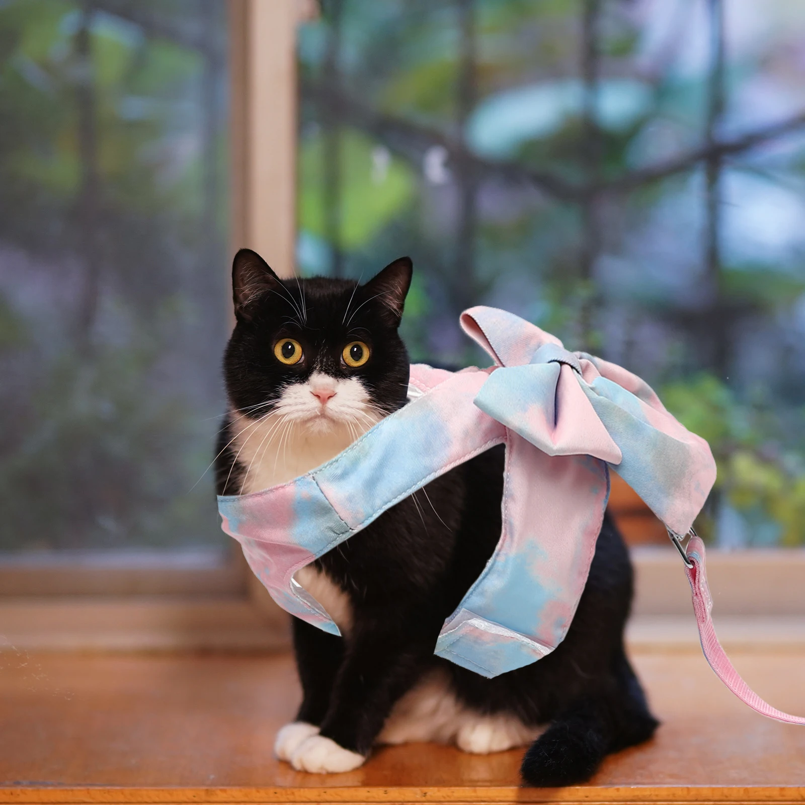 

Pet Walking Kit Kitten Collars Lovely Vest Rope Bow Polyester Small Harness Cat Harness Leash Cat Leash Medium Small