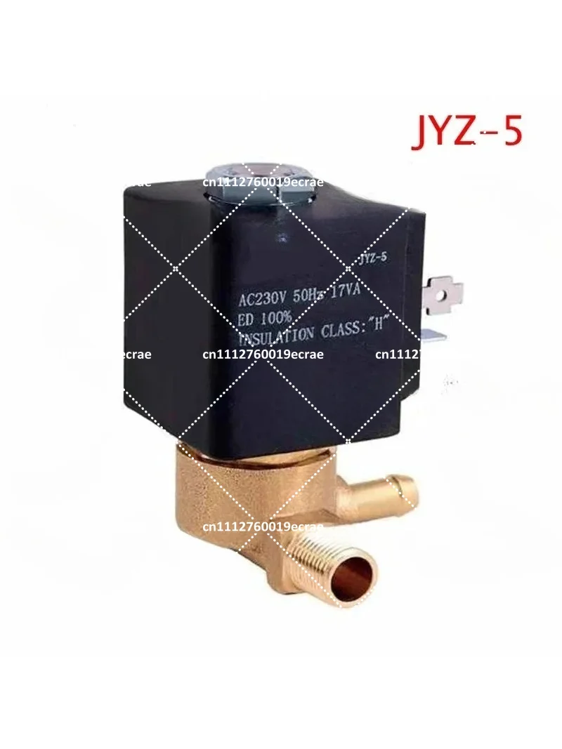 Electric Iron High Temperature Steam Valve Normally Closed Solenoid Valve Control Valve JYZ-5