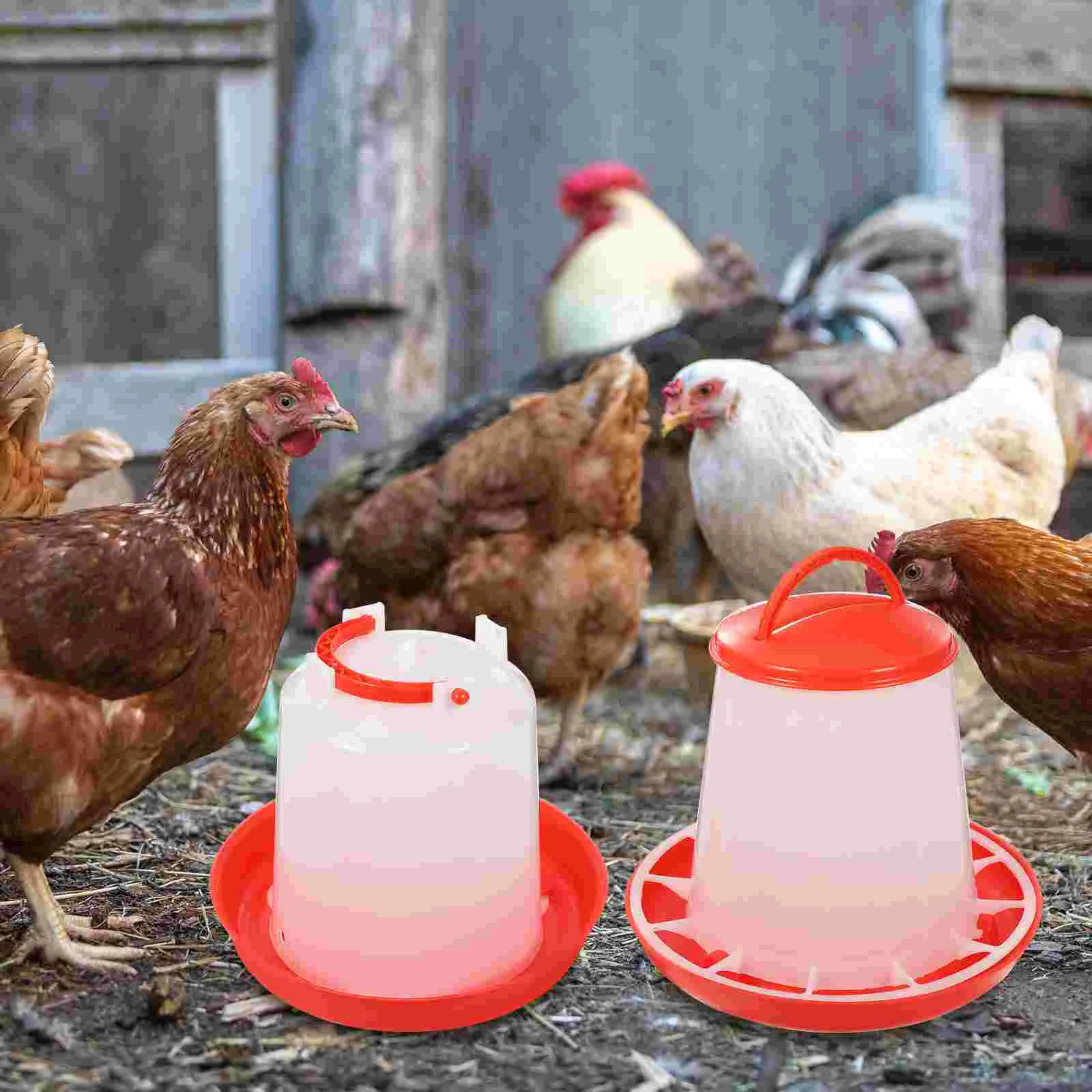 Feeder Chicky Household Poultry Food Trough Anti-spatter Troughs Chicken Plastic