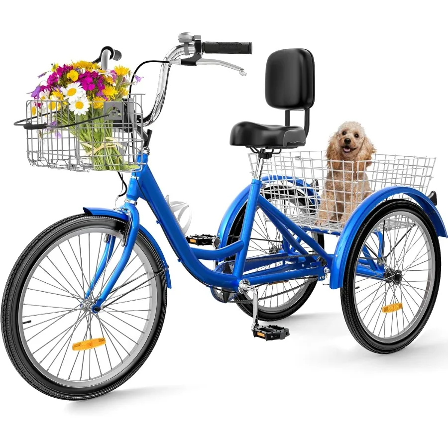 

Adult Tricycle, 2025 year