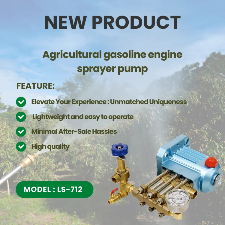 Professional engine  agricultural garden sprayer