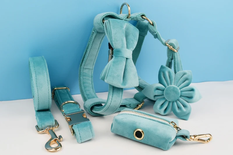 Türkisfarbenes Samt-Hundehalsband und Leinen-Set für Hunde, individuell graviertes Namensschild, Haustierbedarf, Hundeleine, Samt, 40 – Detail 3