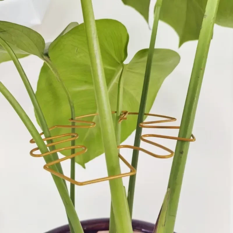 1pc planta haste suporte interior vaso planta titular planta flores anti-lodging fixador planta haste protetor acessórios de jardinagem