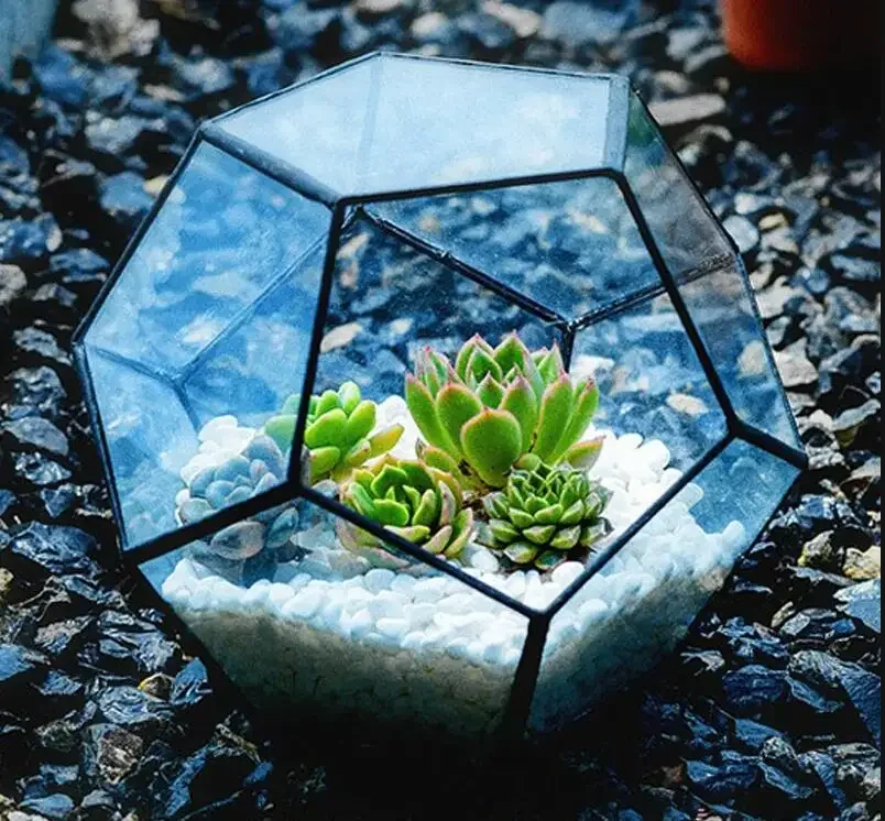 Immortal Flower Glass Vase Succulent Pot Plant Micro Landscape Flowerpots Gardening Supplies Garden Pots Display Stand